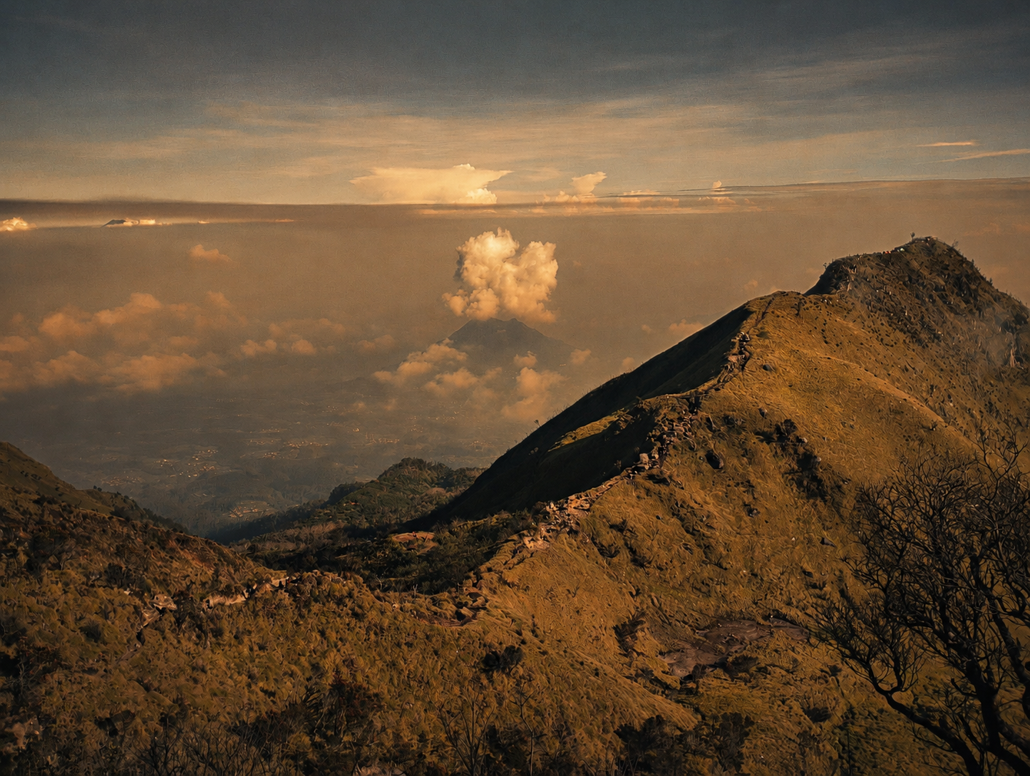 Cinematic volcanic coast